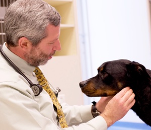 Dr. Justin with dog.